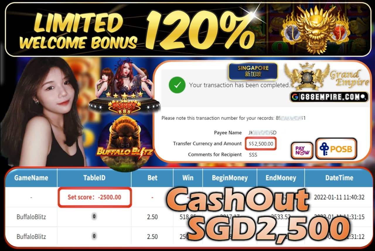 PUSSY888 - BUFFALOBLITZ CASHOUT SGD2.500 !!!